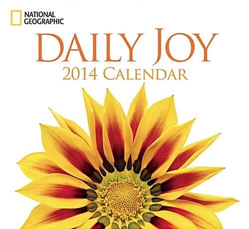 Daily Joy 2014 Calendar (Paperback, Wall, Deluxe)