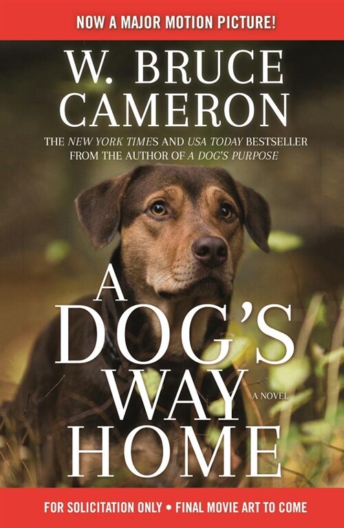 [중고] A Dog‘s Way Home Movie Tie-In (Paperback)