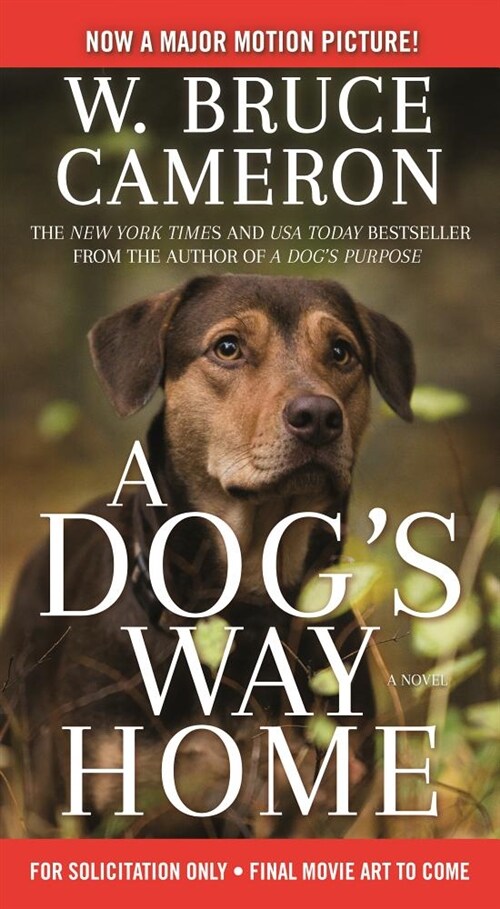 A Dogs Way Home Movie Tie-In (Mass Market Paperback)