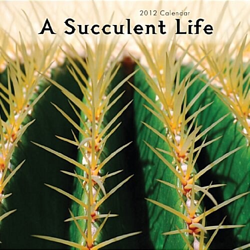 A Succulent Life 2012 Calendar (Paperback, Wall)