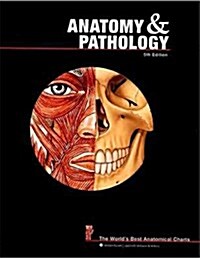 Anatomy & Pathology (Paperback, 5th, Spiral)