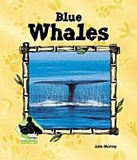 Blue Whales (Library Binding)