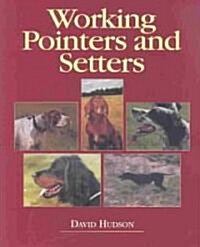 Working Pointers and Setters (Hardcover)