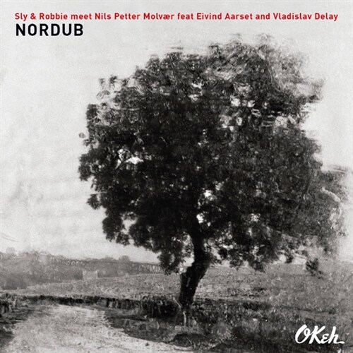 [수입] Sly & Robbie, Nils Petter Molvaer, Eivind Aarset, Vladislav Delay - Nordub