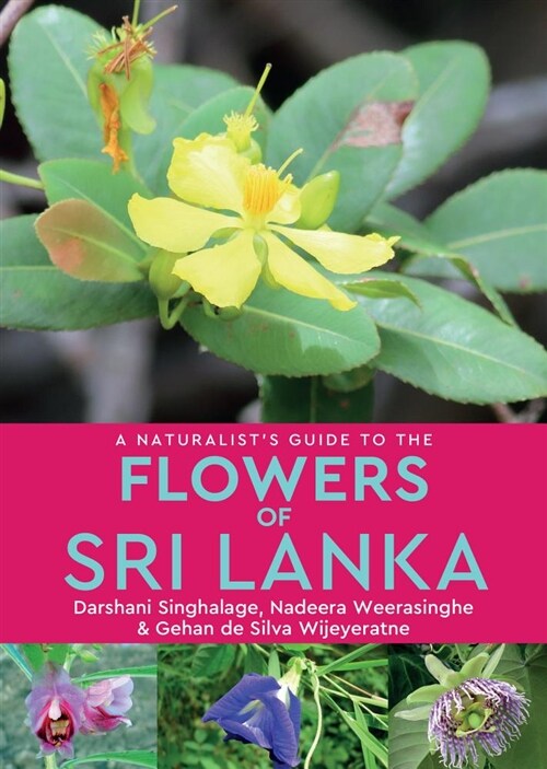 A Naturalist’s Guide to the Flowers of Sri Lanka (Paperback)