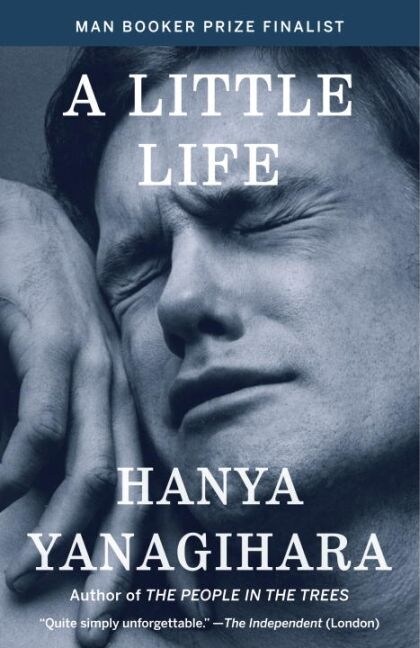 LITTLE LIFE A EXP (Paperback)