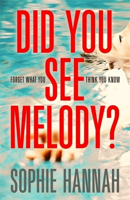 Did You See Melody? (Paperback)