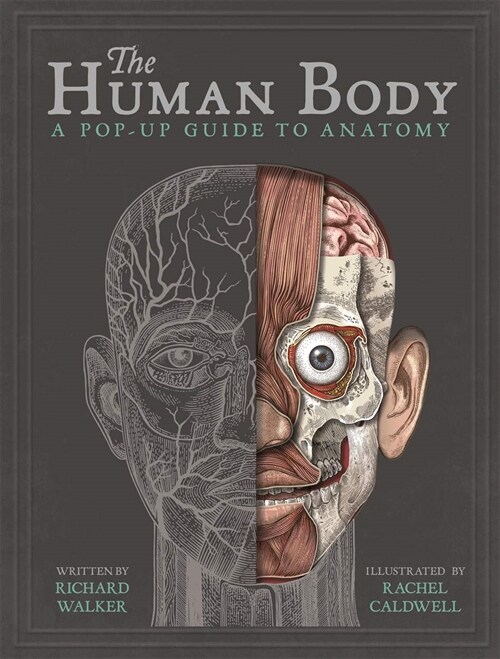 [중고] The Human Body : A Pop-Up Guide to Anatomy (Hardcover)
