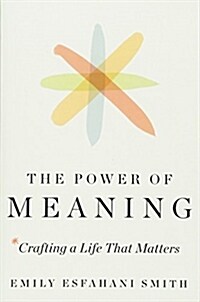 POWER OF MEANING THE MR EXP (Paperback)