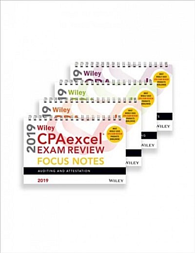 Wiley Cpaexcel Exam Review 2019 Focus Notes: Complete Set (Paperback)