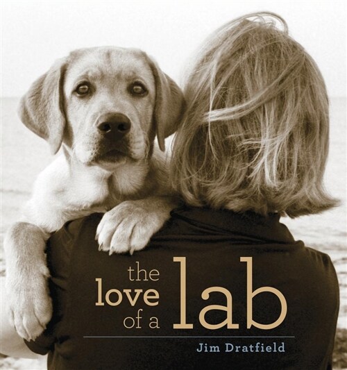 The Love of a Lab (Paperback)