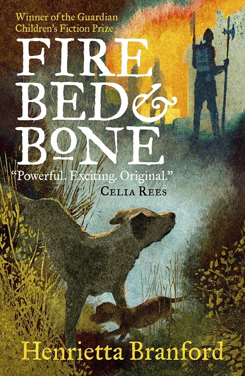 Fire, Bed and Bone (Paperback)