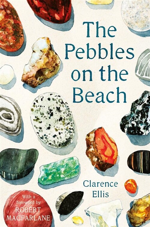 The Pebbles on the Beach (Paperback, Main)