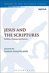 Jesus and the Scriptures : Problems, Passages and Patterns (Paperback)