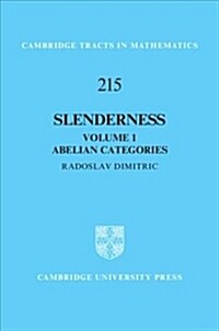Slenderness: Volume 1, Abelian Categories (Hardcover)