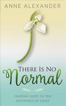 There Is No Normal: Finding Hope in the Dailyness of Grief (Paperback)