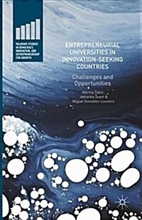 Entrepreneurial Universities in Innovation-Seeking Countries: Challenges and Opportunities (Paperback)