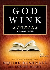 Godwink Stories: A Devotional (Paperback)