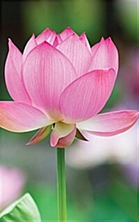 Meditation Journal: Pink Lotus Flower Dot Grid 5x8 202 Pages for Mindfulness and Relaxation (Paperback)