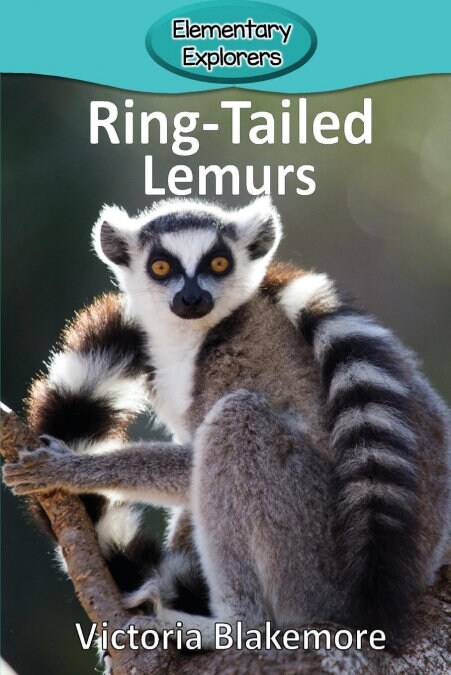 Ring-Tailed Lemurs (Paperback)