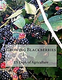 Growing Blackberries (Paperback)