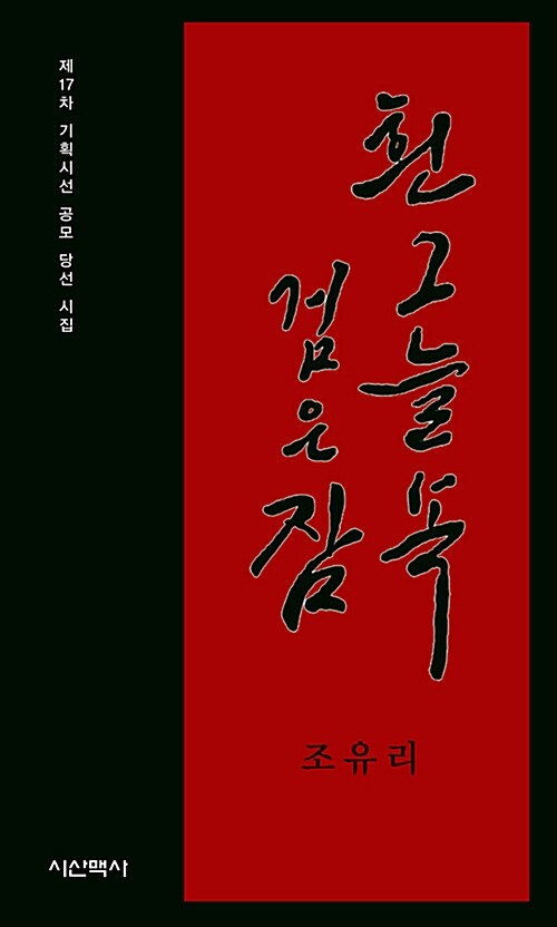 흰 그늘 속, 검은 잠  : 조유리 시집  : 제17차 기획시선 공모 당선 시집