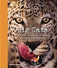 Big Cats: In Search of Lions, Leopards, Cheetahs, and Tigers (Hardcover)