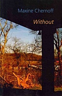 Without (Paperback)