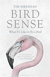 Bird Sense: What Its Like to Be a Bird (Hardcover)