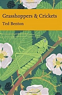 Grasshoppers and Crickets (Hardcover)