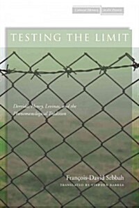 Testing the Limit: Derrida, Henry, Levinas, and the Phenomenological Tradition (Hardcover)