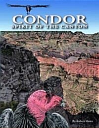 Condor (Hardcover)