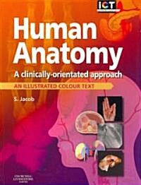 Human Anatomy : A Clinically-orientated Approach (Paperback)