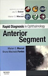 Anterior Segment (Paperback, 1st)