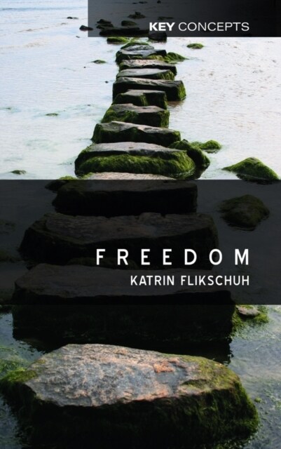 Freedom : Contemporary Liberal Perspectives (Paperback)