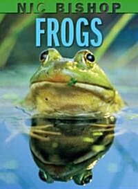 Nic Bishop: Frogs (Hardcover)