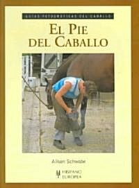 El Pie Del Caballo/ Your Horses Feet (Paperback, Translation)
