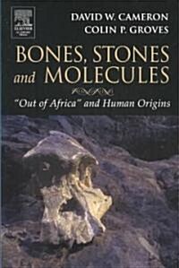 Bones, Stones and Molecules: Out of Africa and Human Origins (Paperback)