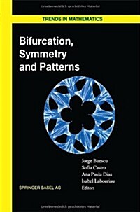 Bifurcation, Symmetry and Patterns (Hardcover)