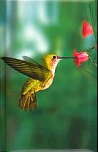 Hummingbird Blank Journal (Other)