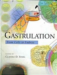 Gastrulation: From Cells to Embryo (Hardcover)
