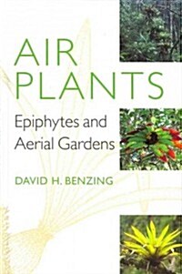 Air Plants: Epiphytes and Aerial Gardens (Hardcover)