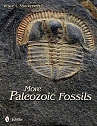 More Paleozoic Fossils (Paperback)