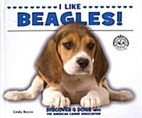 I Like Beagles! (Library Binding)