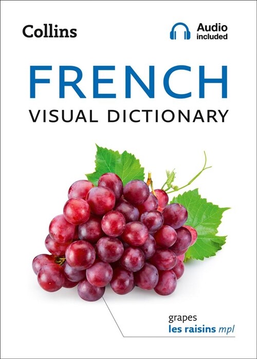 French Visual Dictionary : A Photo Guide to Everyday Words and Phrases in French (Paperback)