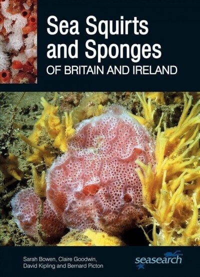 Sea Squirts and Sponges of Britain and Ireland (Paperback)