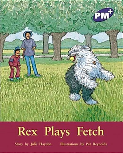 Rex Plays Fetch (Paperback, New ed)