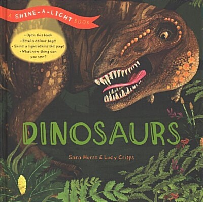 [중고] Shine a Light: Dinosaurs : A shine-a-light book (Hardcover)