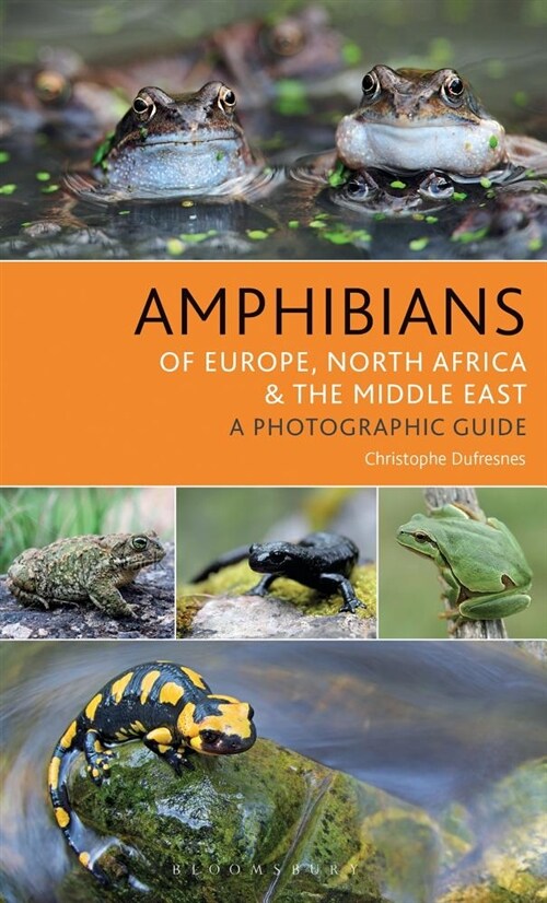 Amphibians of Europe, North Africa and the Middle East : A Photographic Guide (Paperback)
