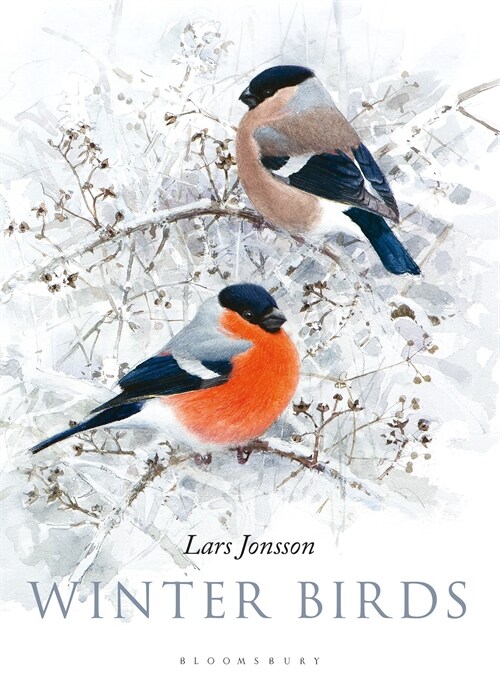 WINTER BIRDS (Hardcover)